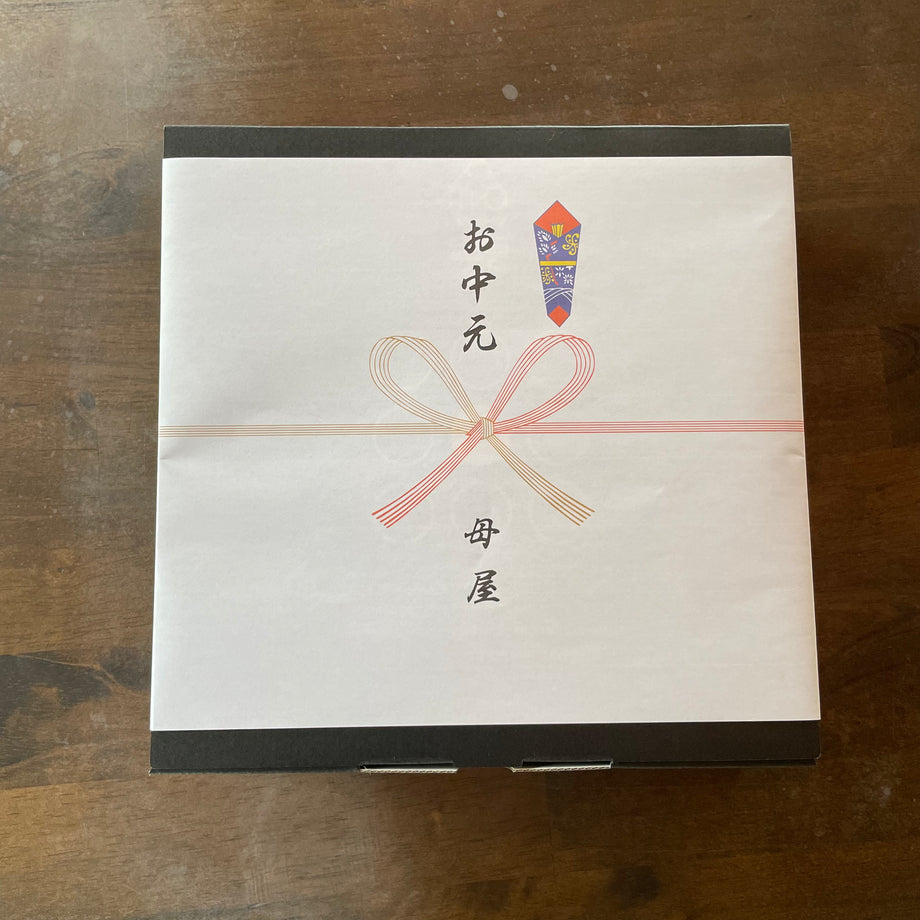 EMP ハオルチア ミニドーナツ / HA27 EMP ハオルチア ミニドーナツ / HA27 EMP ハオルチア ミニ